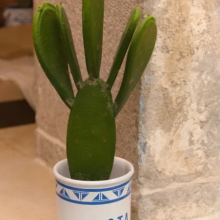 Casa Gisella * Trani